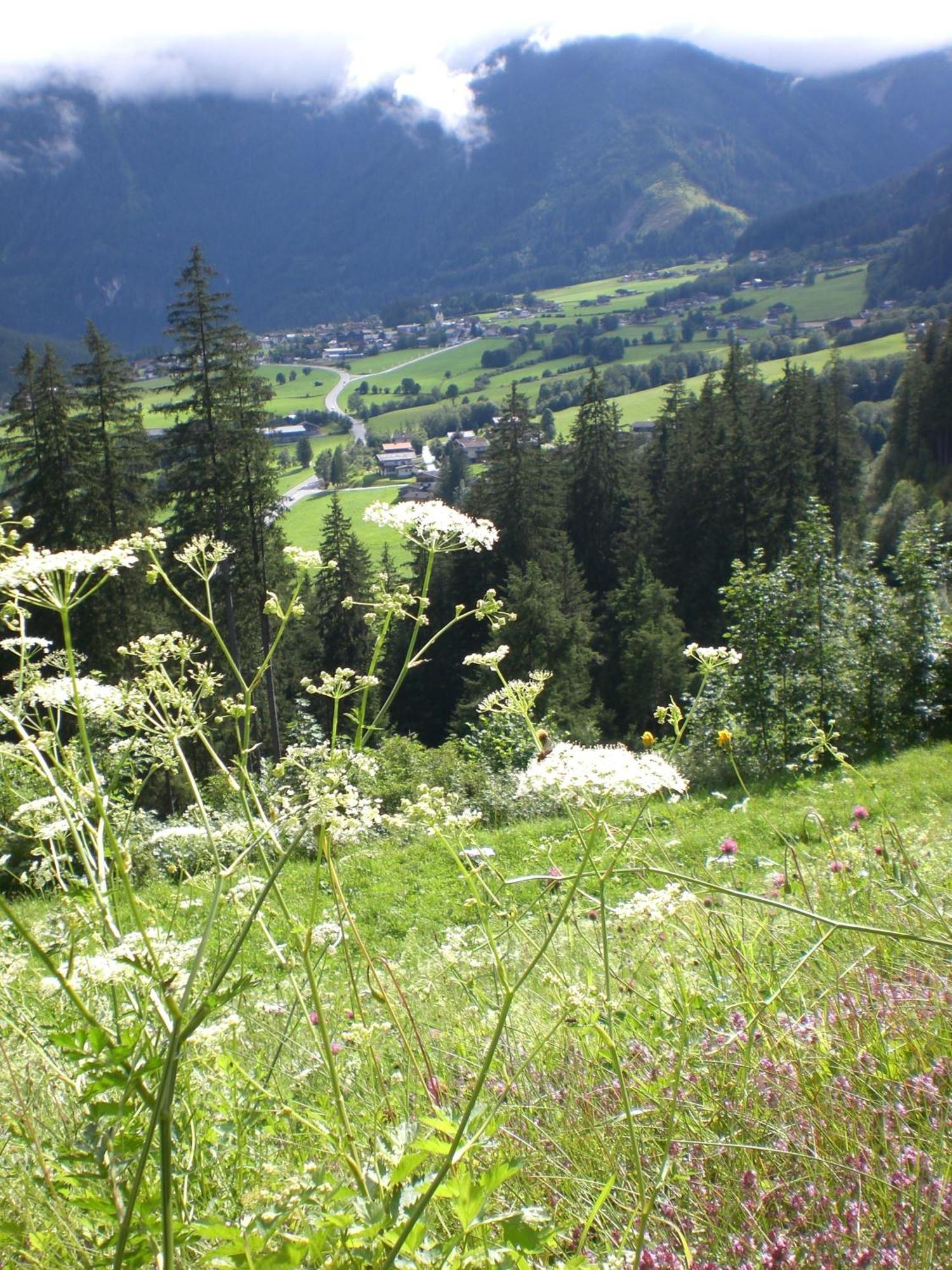 Hotel Gruppen Und Familienhof Falkenstein à Krimml Extérieur photo